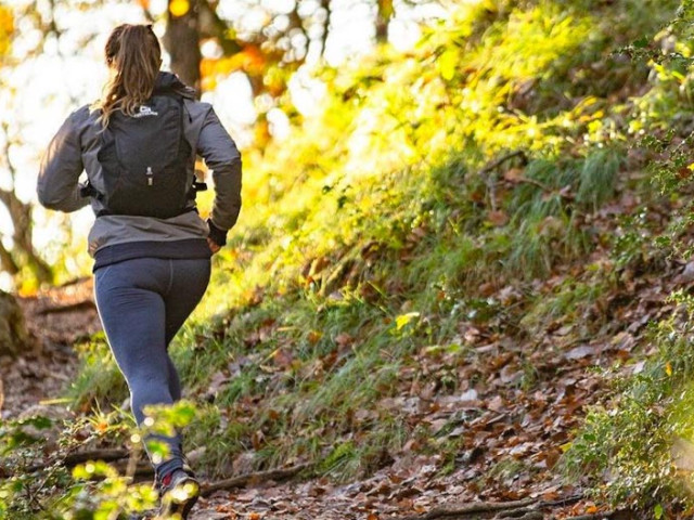 How to choose a sports backpack?