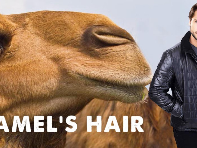 Camel wool jacket